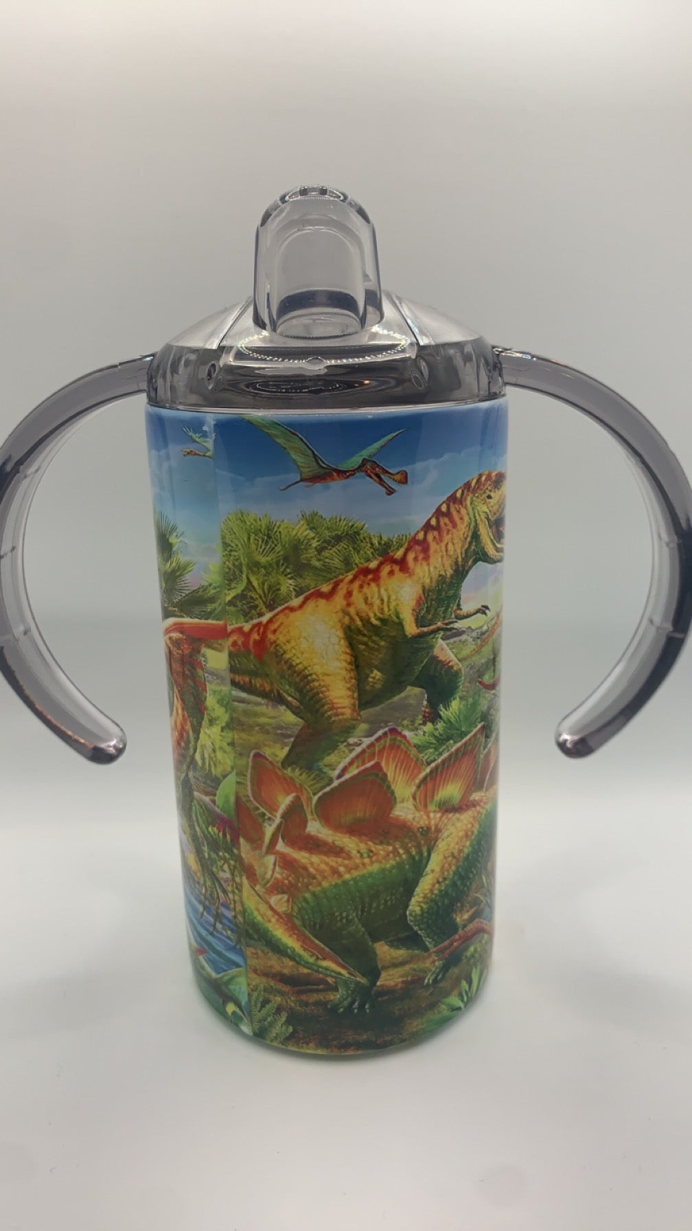 12oz Dinosaur Kids Skinny Tumbler