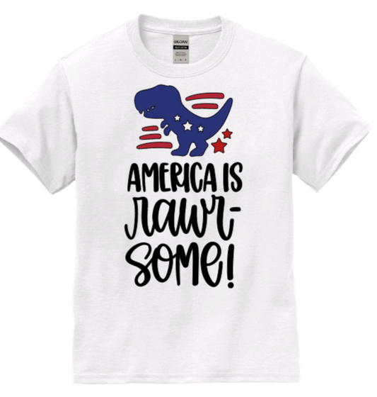 America is rawr-some youth t-shirt