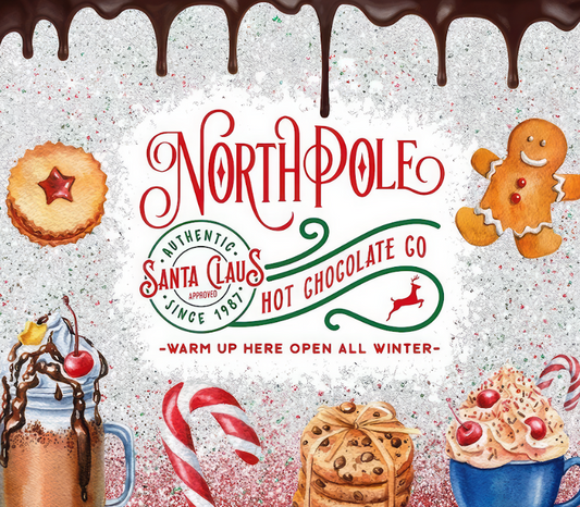 North pole 20oz Skinny Tumbler