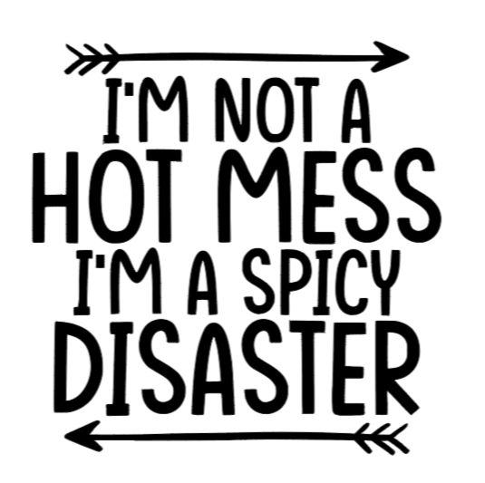 I'm not a hot mess I'm a spicy disaster adult t-shirt