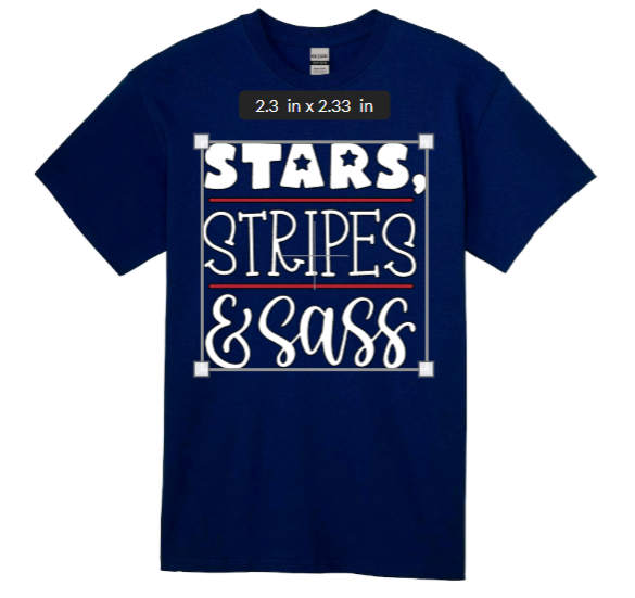 Stars, Stripes & Sass adult t-shirt