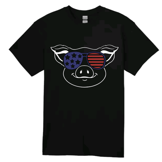 4th of July pig youth t-shirt