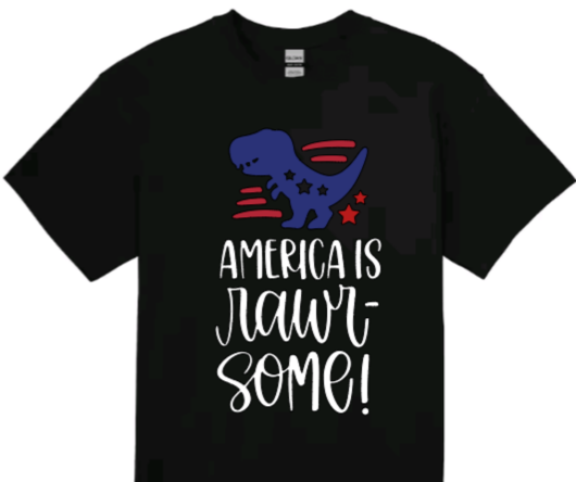 America is rawr-some toddler t-shirt