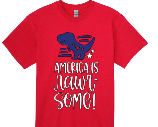 America is rawr-some toddler t-shirt