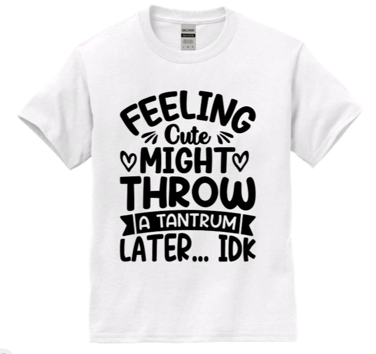 Feeling cute might throw a tantrum later... idk youth t-shirt