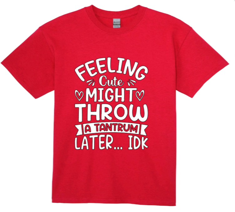 Feeling cute might throw a tantrum later... idk youth t-shirt