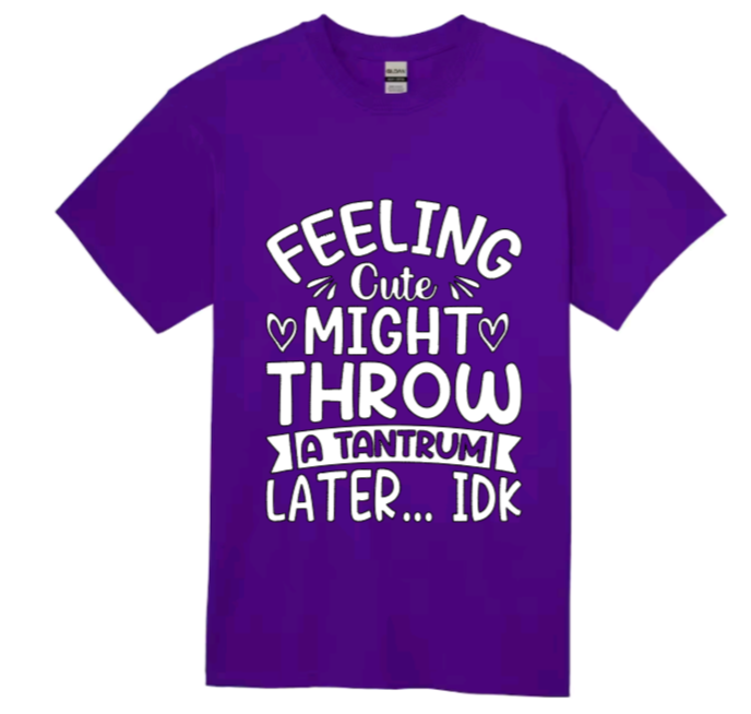 Feeling cute might throw a tantrum later... idk youth t-shirt