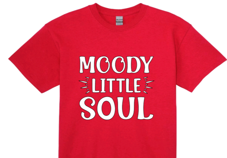 Moody little soul toddler t-shirt